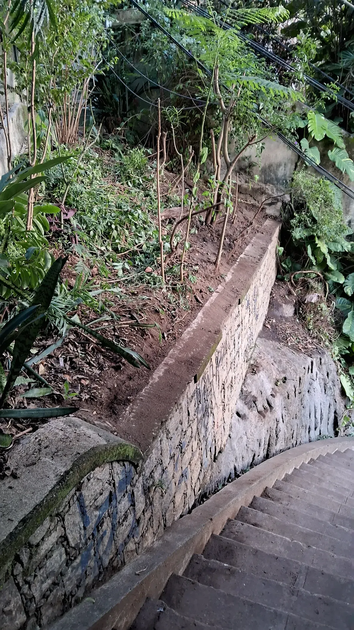 Muro de contenção de pedra curvando junto à escadaria, com vegetação acima