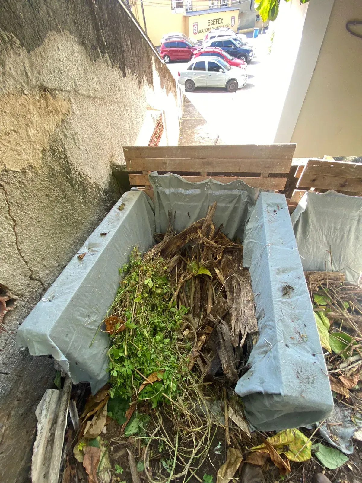 Leira de compostagem forrada de lona recebendo material verde fresco e talos secos de bananeira, junto ao muro do pátio