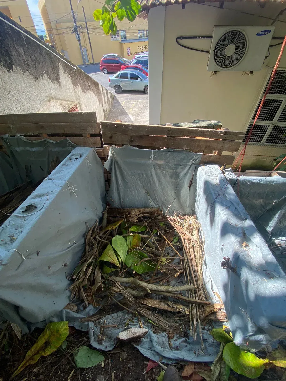 Fileira de leiras de compostagem feitas de pallets de madeira forrados com lona clara, no pátio da escola, recebendo galhos e folhas secas