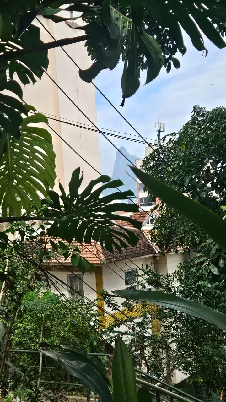 Vista de dentro da agrofloresta, entre folhas de costela-de-adão, com telhados do bairro e a estátua do Cristo Redentor ao longe no horizonte